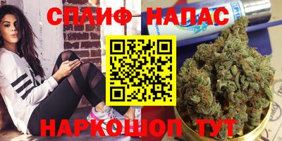 винт Балахна