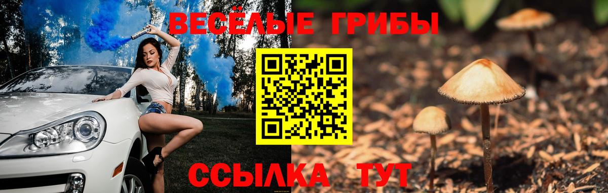 Долгопрудный  Галлюциногенные грибы GOLDEN TEACHER  Вход с VPN 